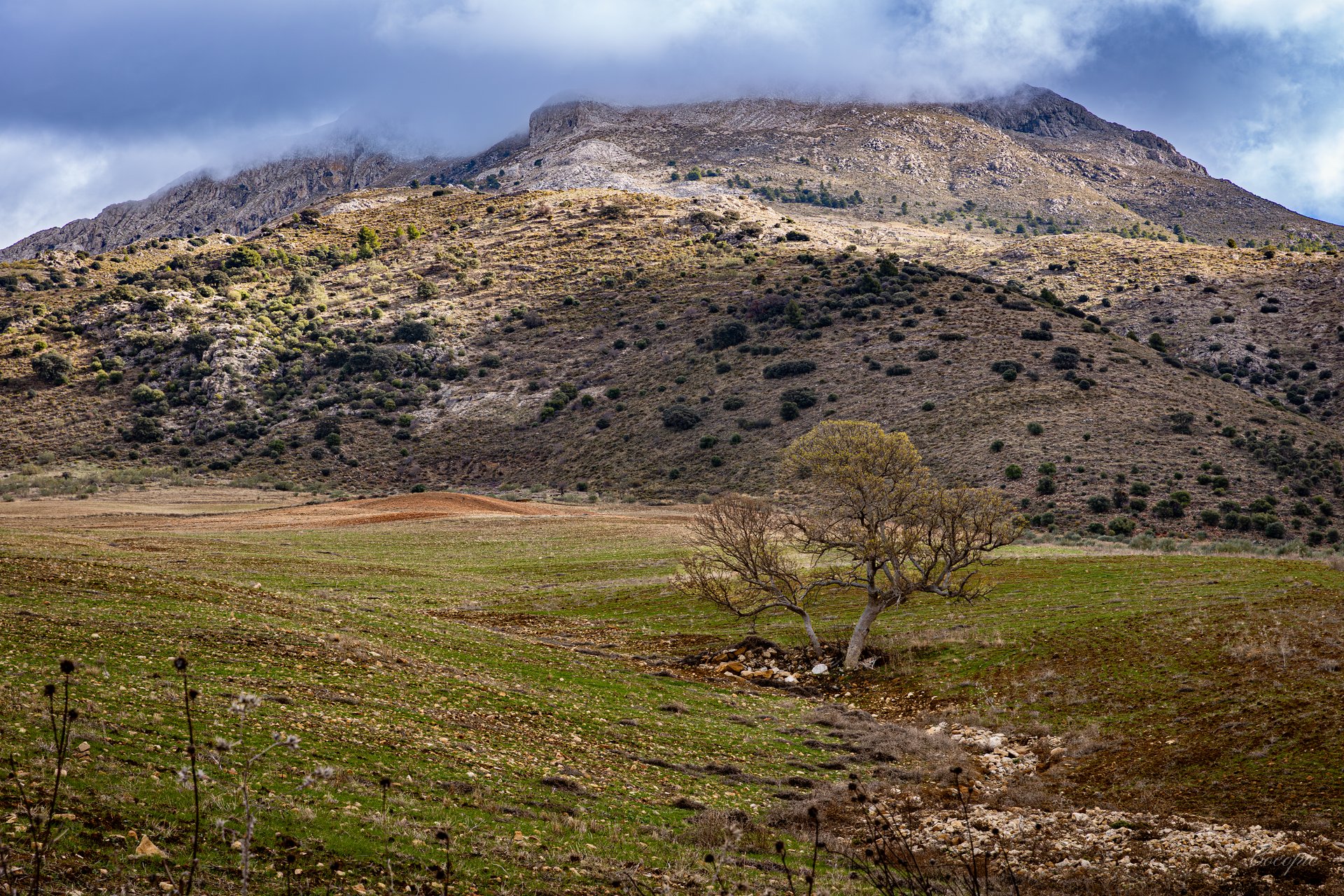 El Burgo