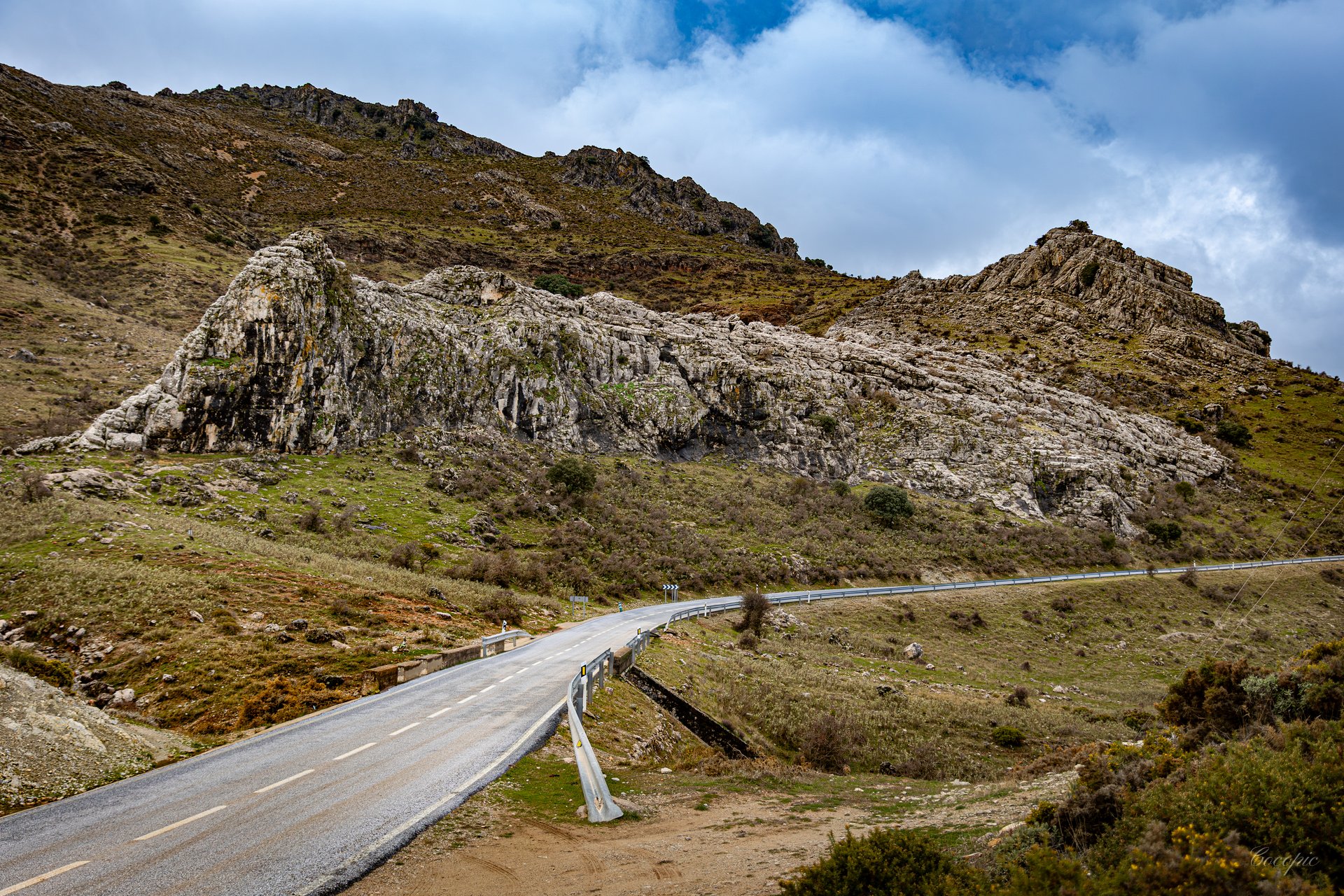 Campo y monte en los alrededores de El Burgo, vegetación mediterránea de Málaga