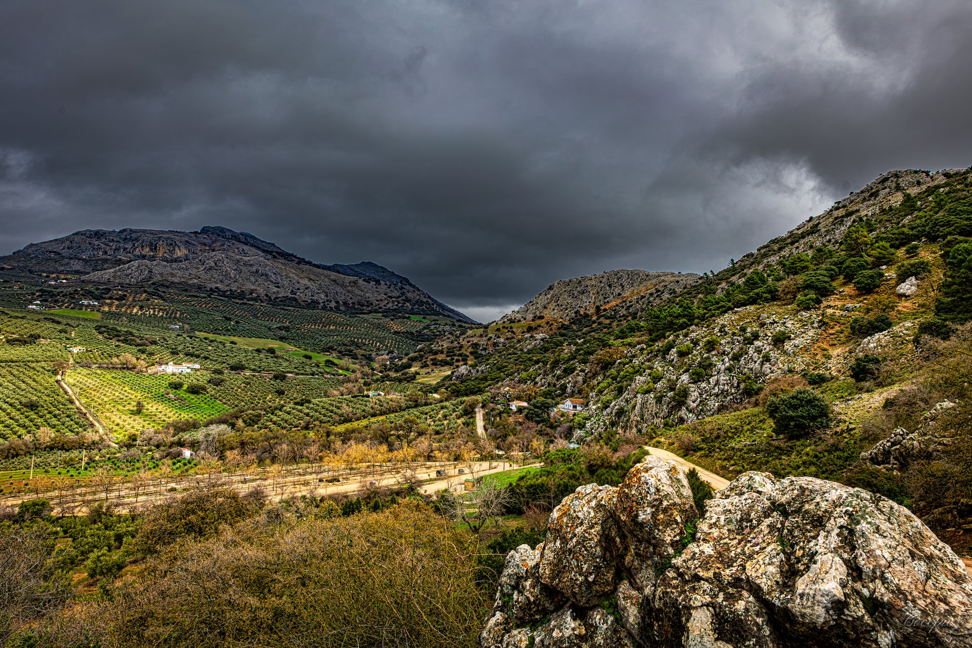 Vista frontal del manantial de los 100 Caños entre roca y vegetación