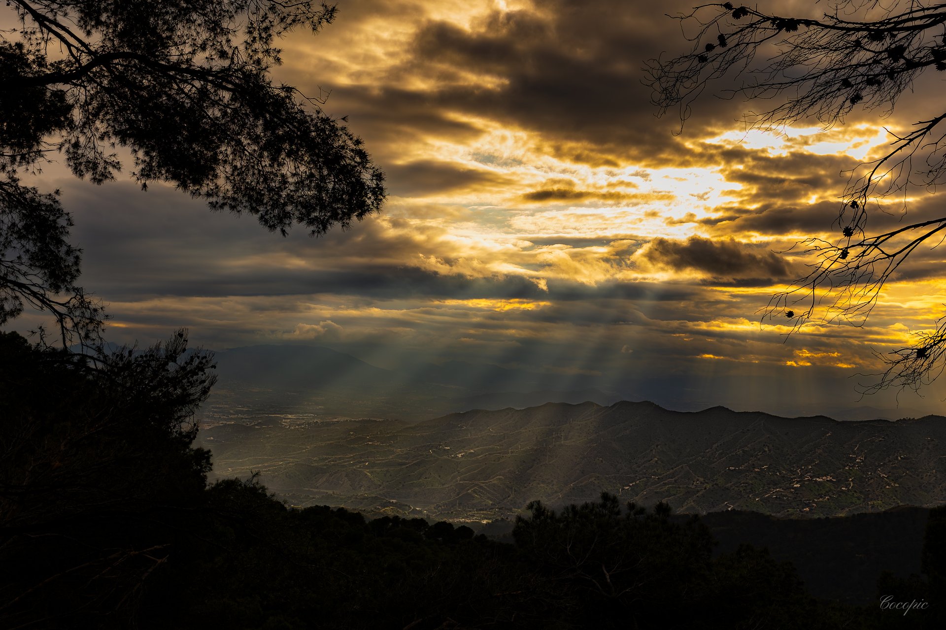 Camino de montaña entre robles y jaras, Montes de Málaga al amanecer