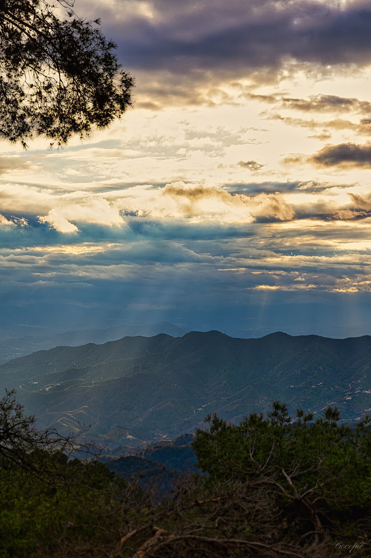 Paisaje de cumbre con vegetación mediterránea y nubes, Parque Natural Málaga