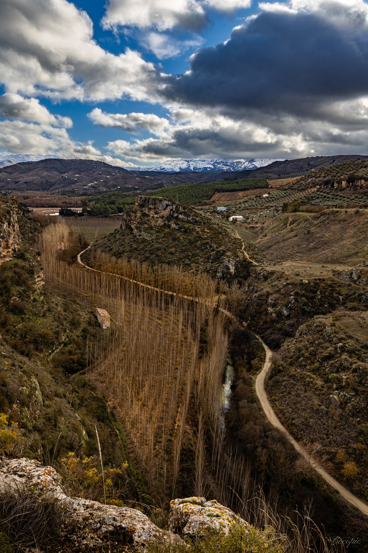 El Tajo de Alhama desde el mirador: el río, los álamos y la sierra nevada al fondo