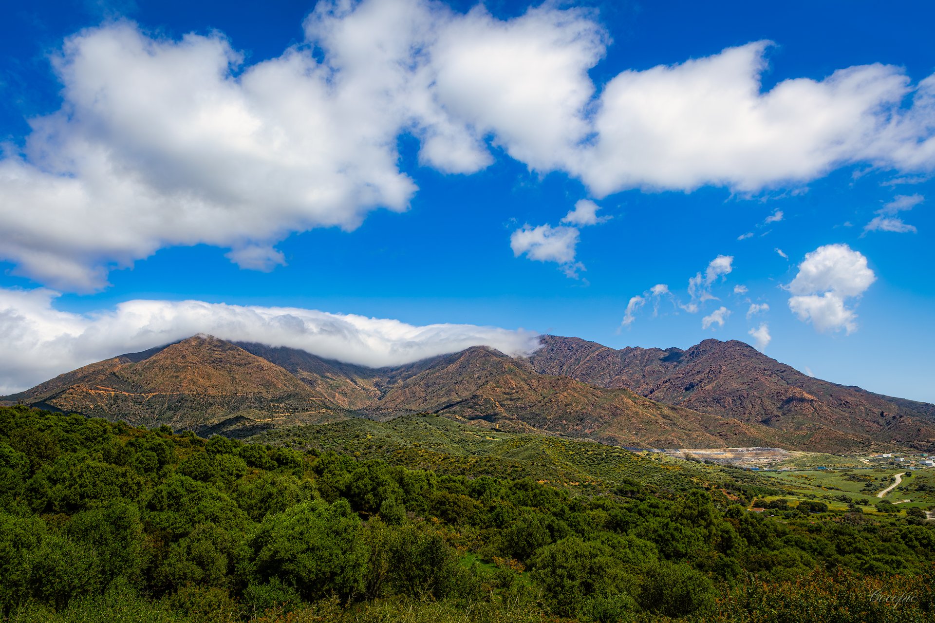 Casares
