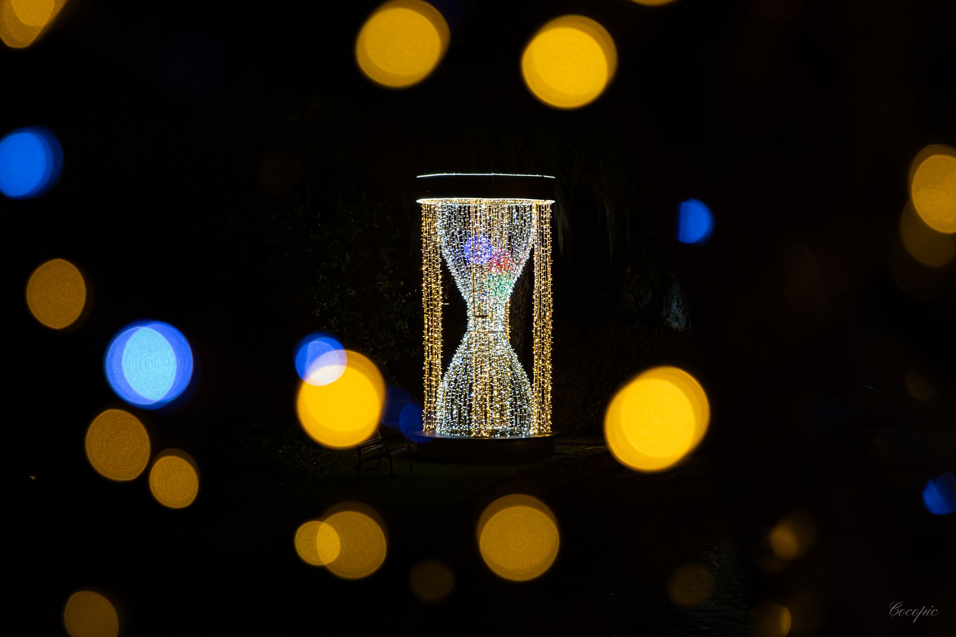 Palmeras iluminadas en el Jardín Botánico Histórico La Concepción, Málaga