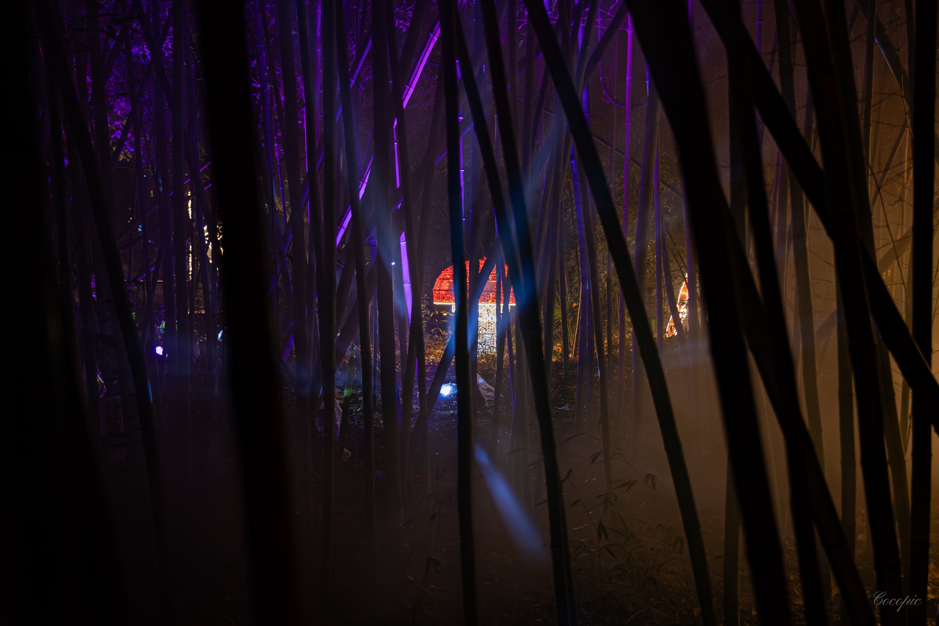 Luces de colores entre vegetación nocturna del Jardín La Concepción, Málaga