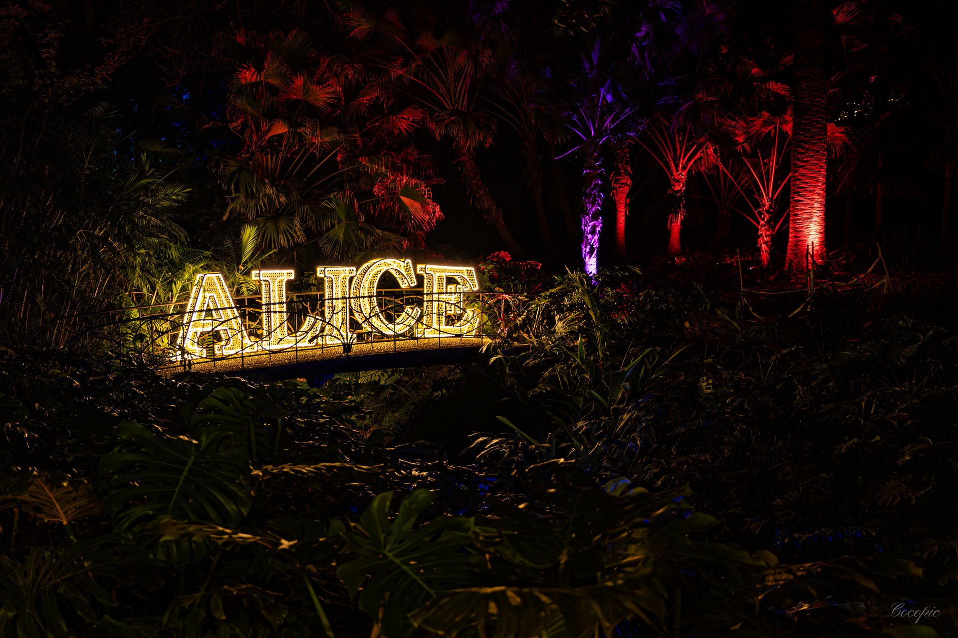 Vegetación exótica iluminada en el Jardín Botánico Histórico de Málaga