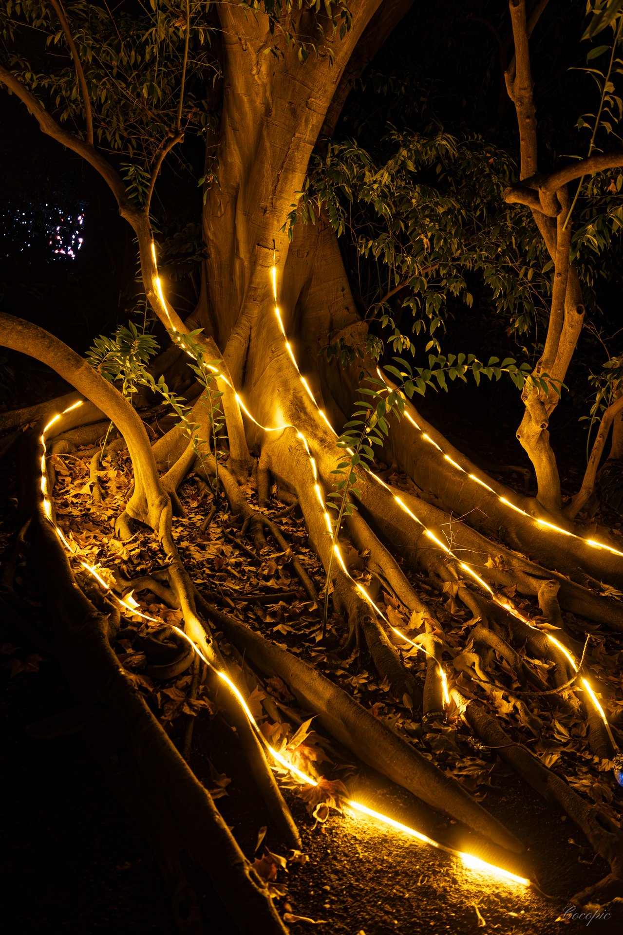 Escalinata del jardín histórico La Concepción iluminada de noche, Málaga