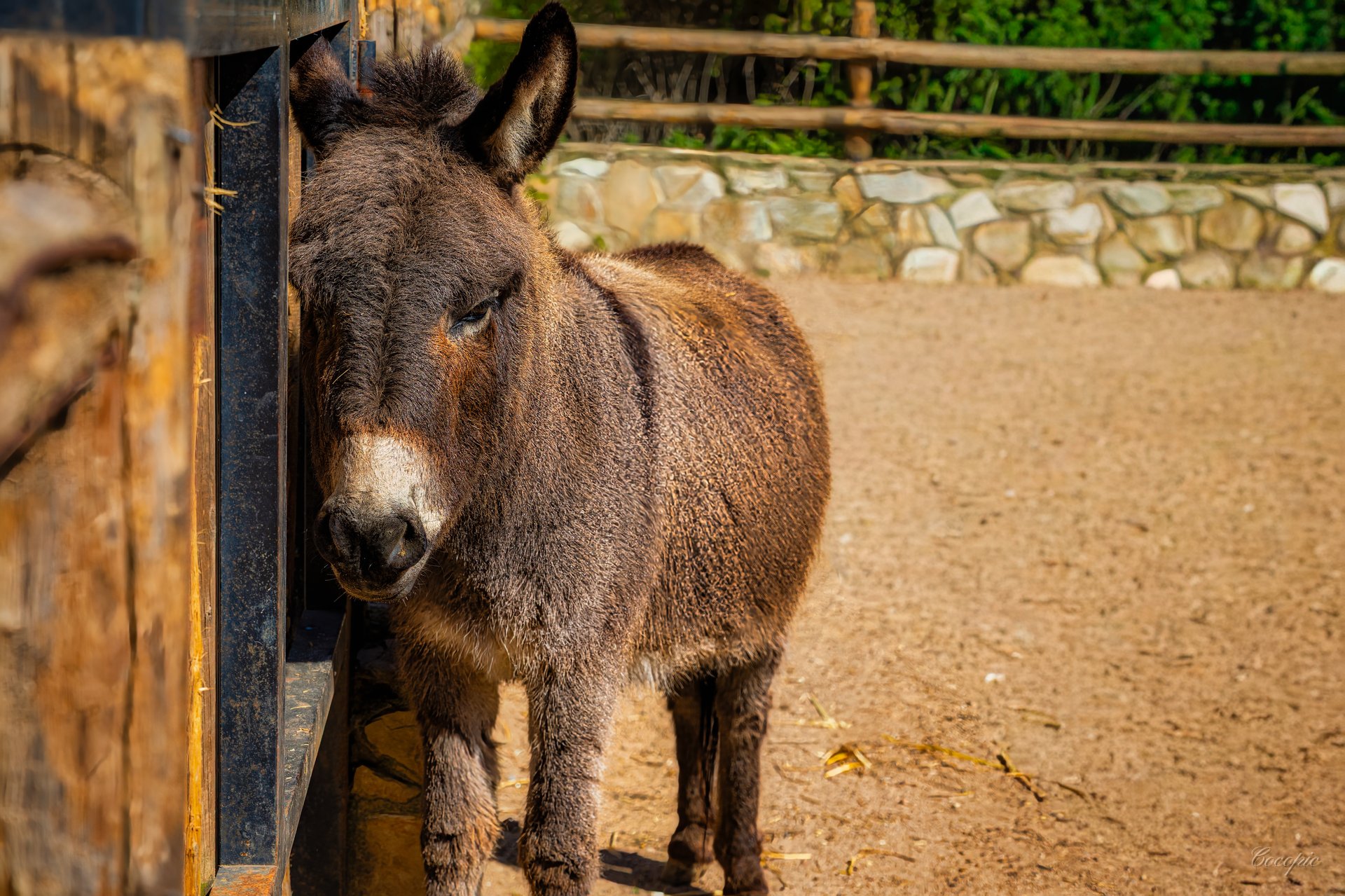 Zoo de Córdoba